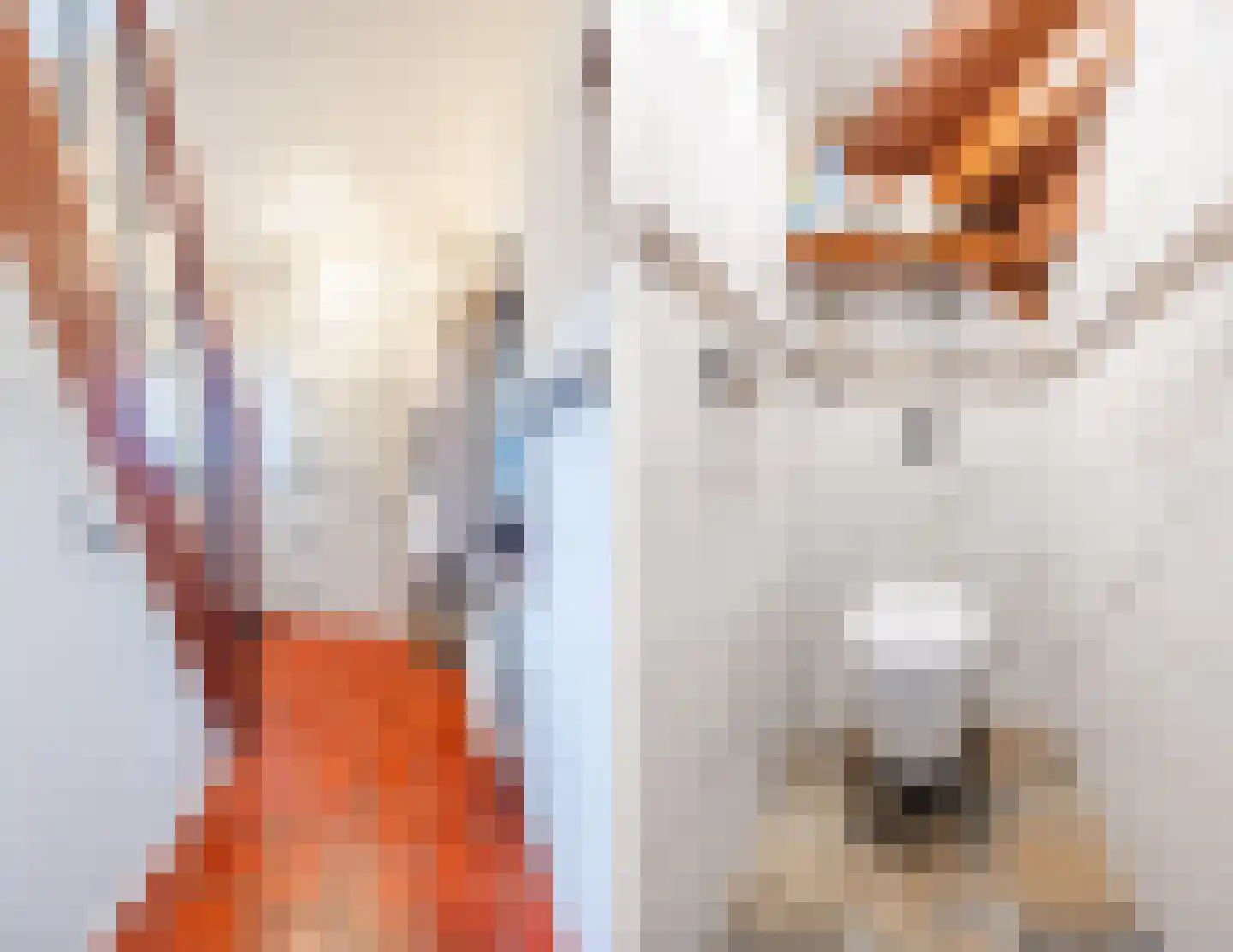 Hofstraat 27 Wouw thumbnail 13