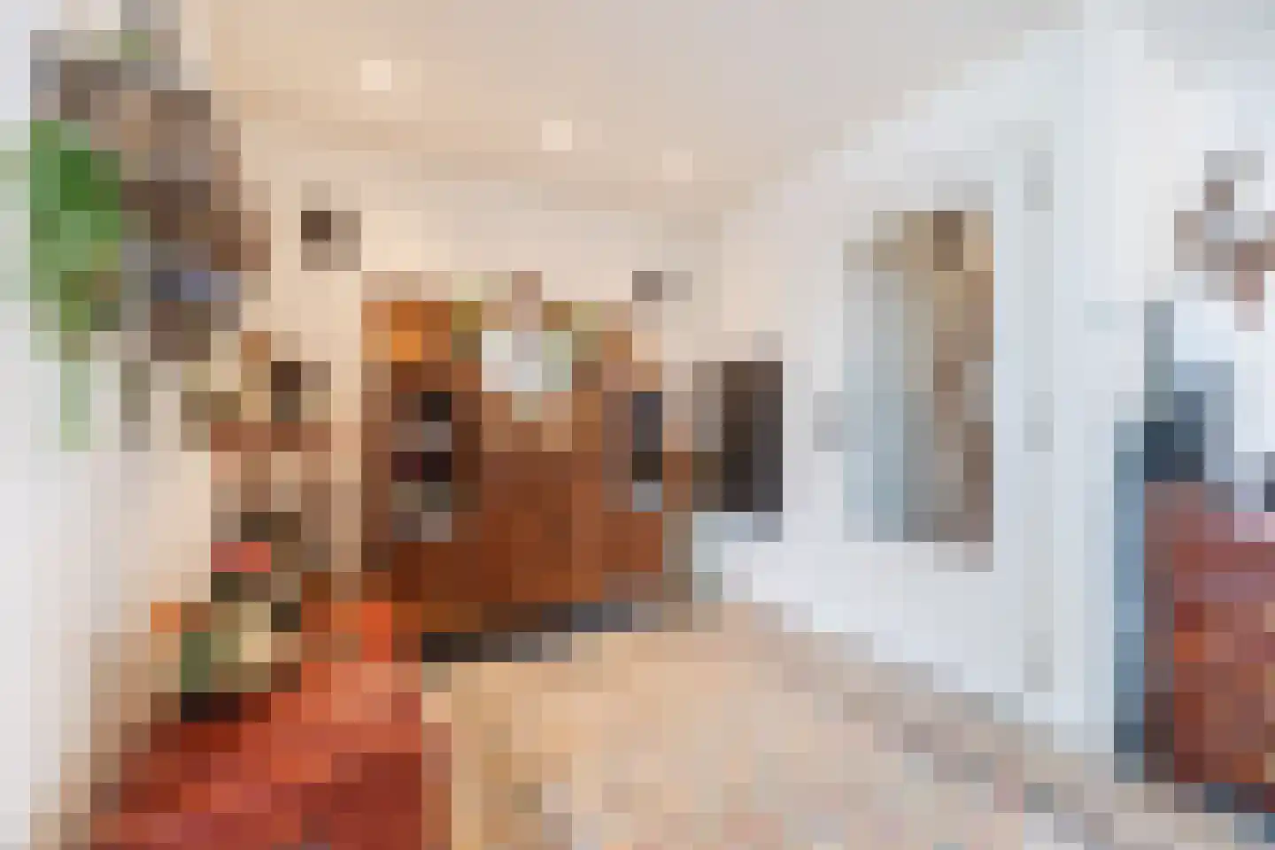 Hofstraat 27 Wouw thumbnail 19