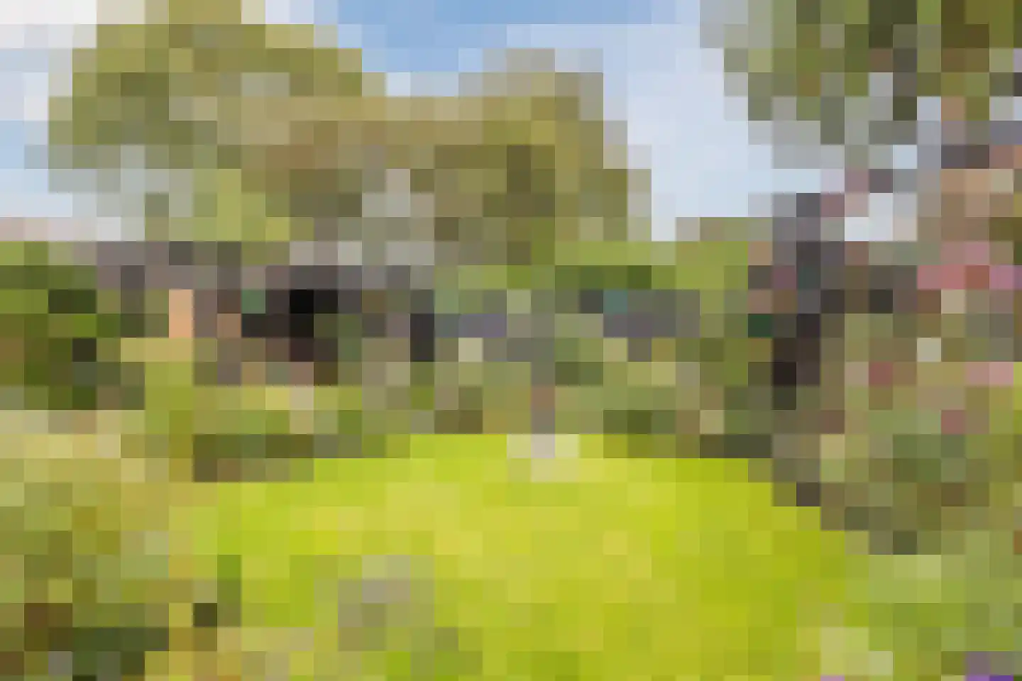 Hofstraat 27 Wouw thumbnail 4