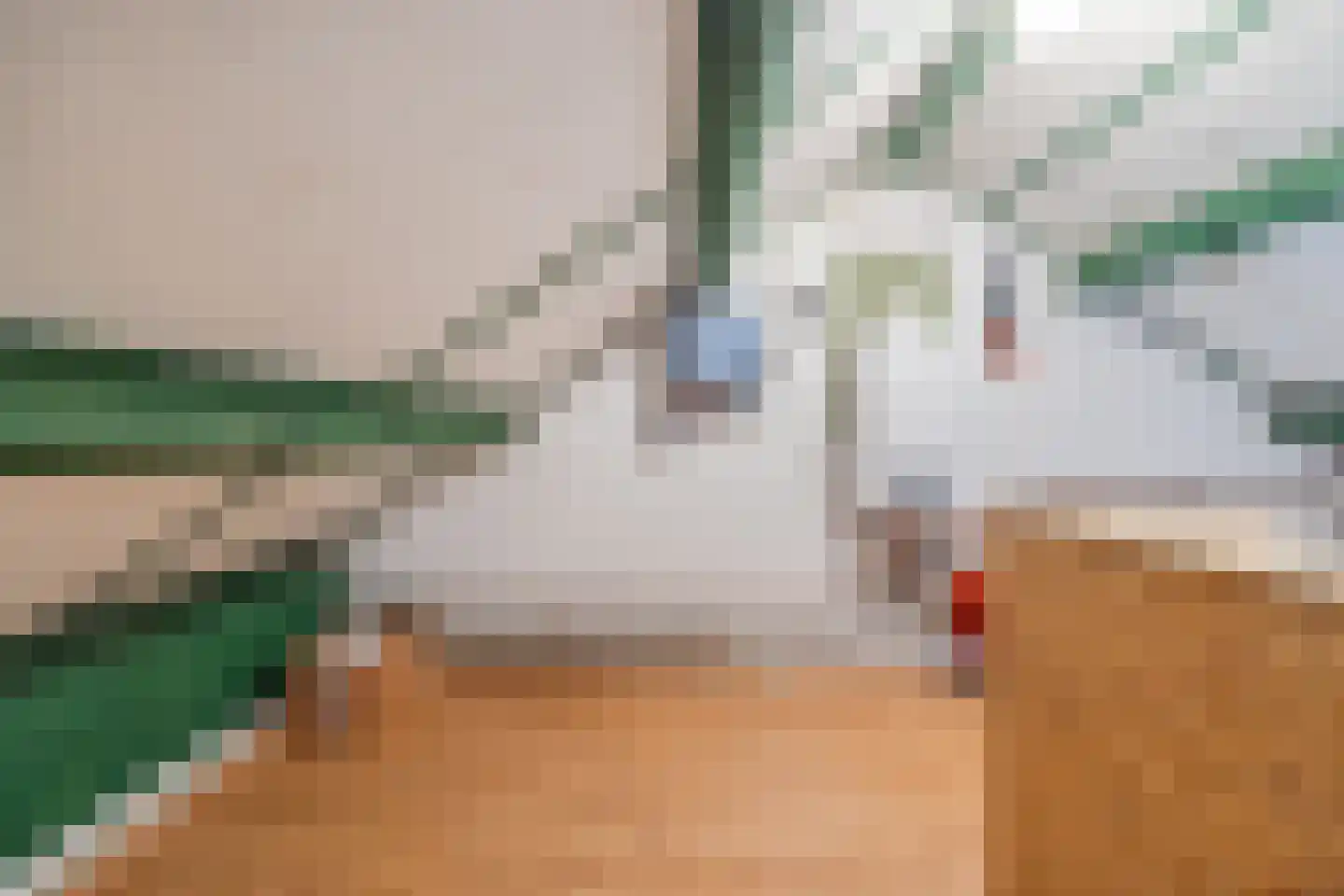 Hofstraat 27 Wouw thumbnail 40