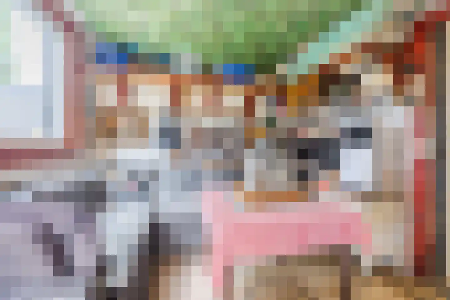 Hofstraat 27 Wouw thumbnail 44