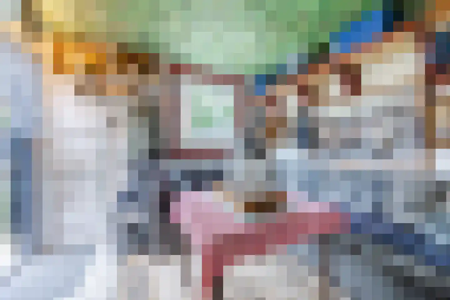 Hofstraat 27 Wouw thumbnail 45