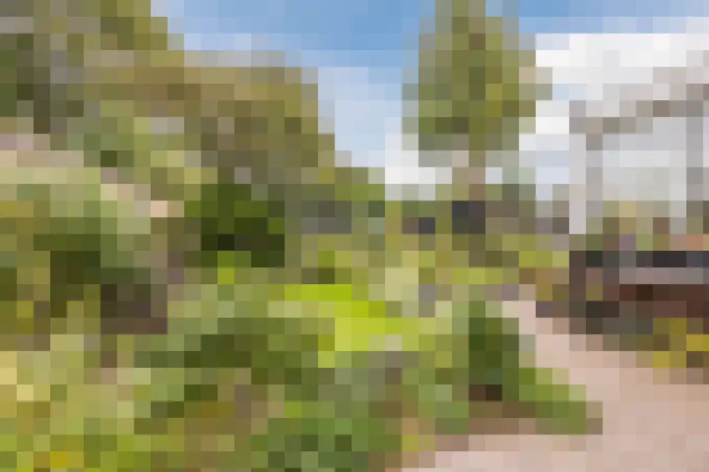 Hofstraat 27 Wouw thumbnail 48