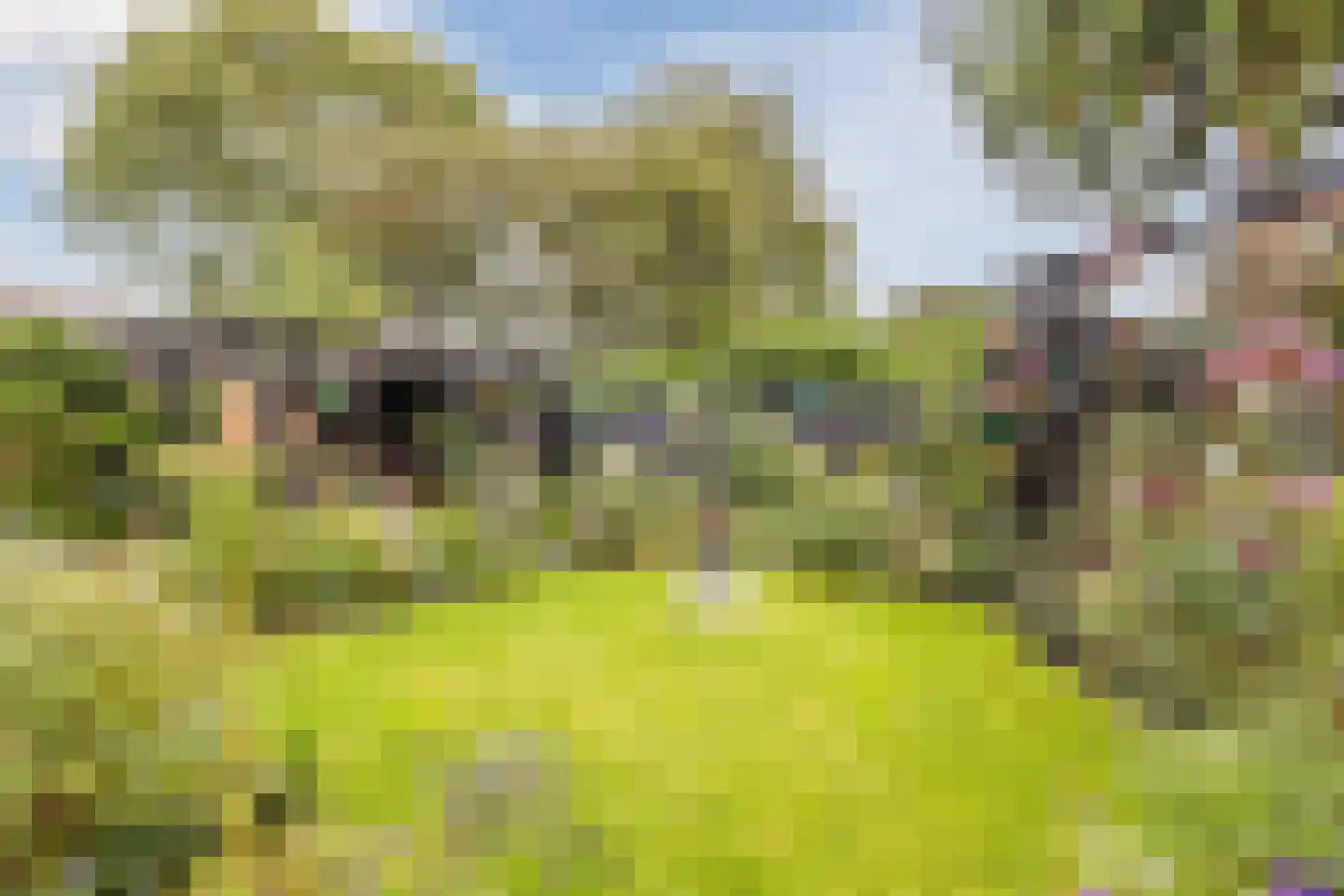 Hofstraat 27 Wouw thumbnail 49
