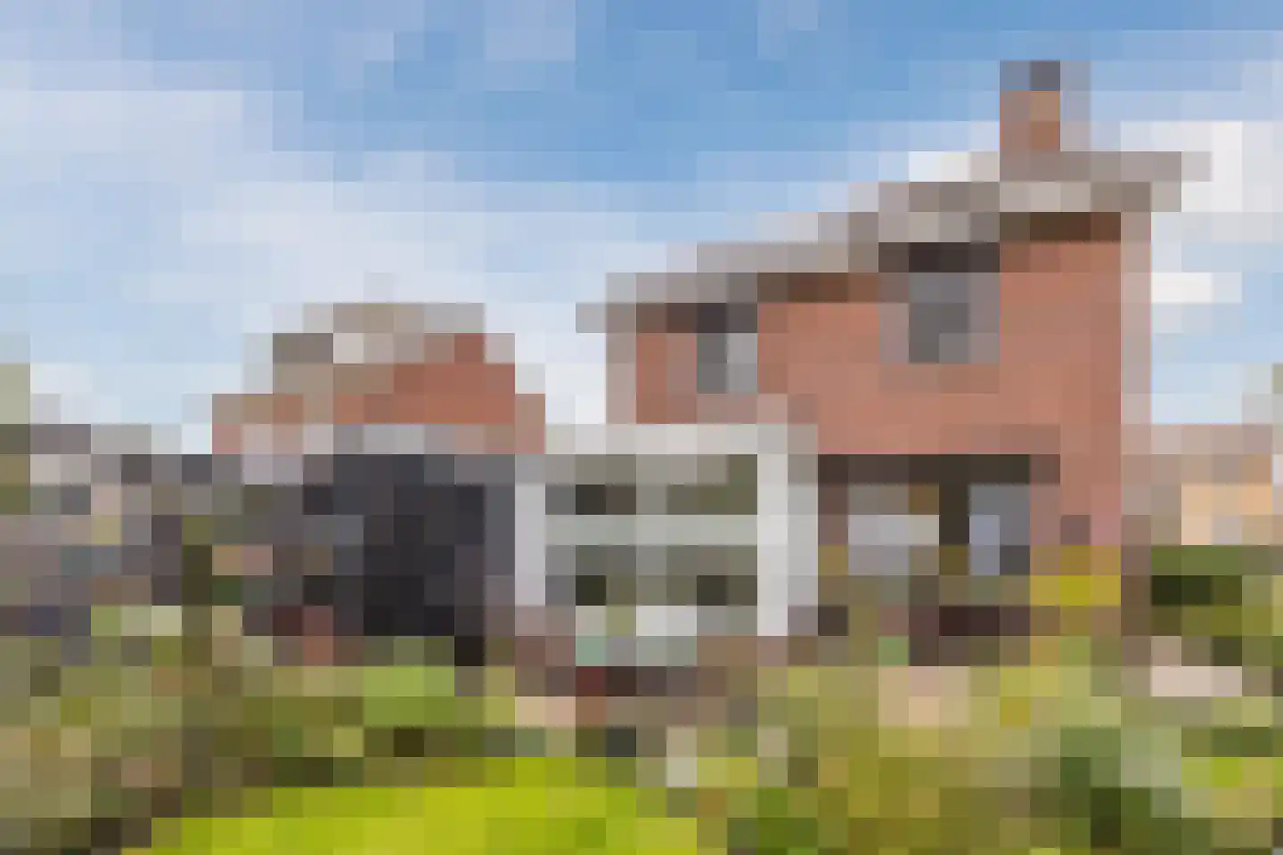 Hofstraat 27 Wouw thumbnail 55