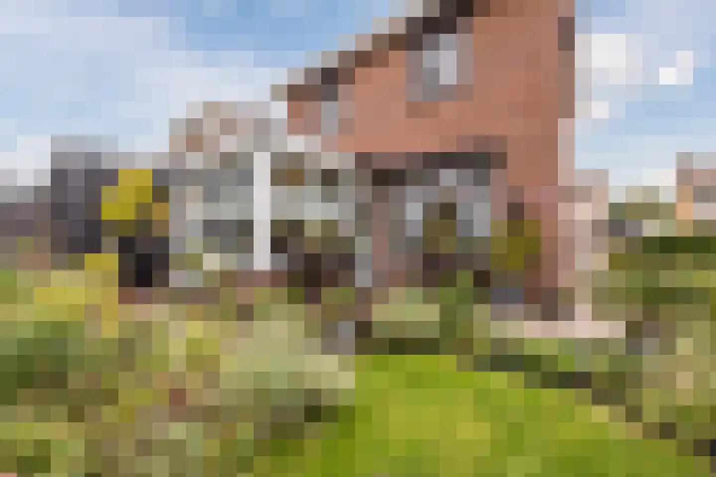 Hofstraat 27 Wouw thumbnail 56