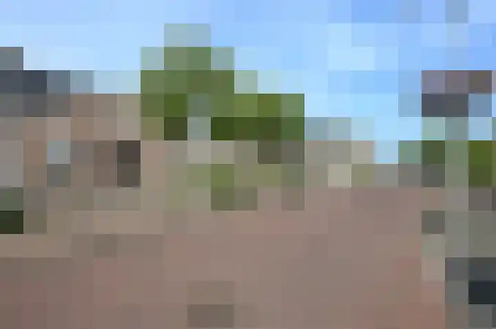 Hofstraat 28 Honselersdijk thumbnail 33