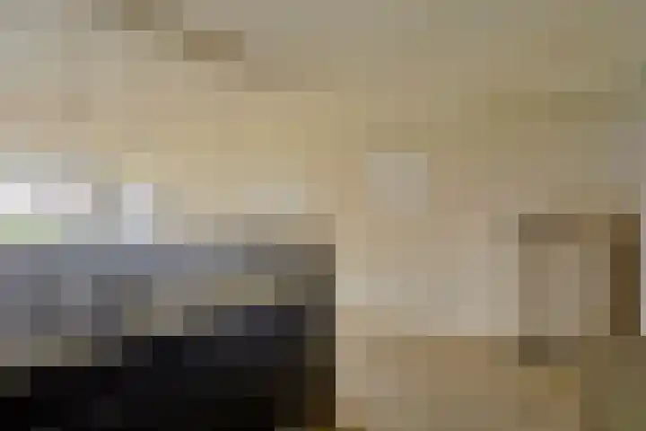 Hofstraat 3 Deurne thumbnail 16