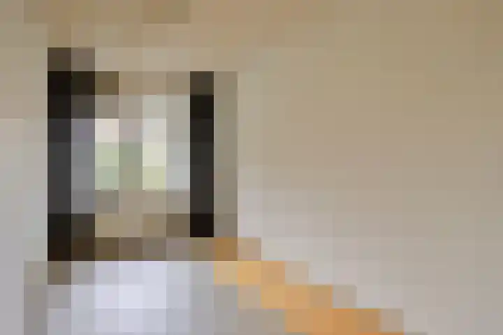 Hofstraat 3 Deurne thumbnail 19
