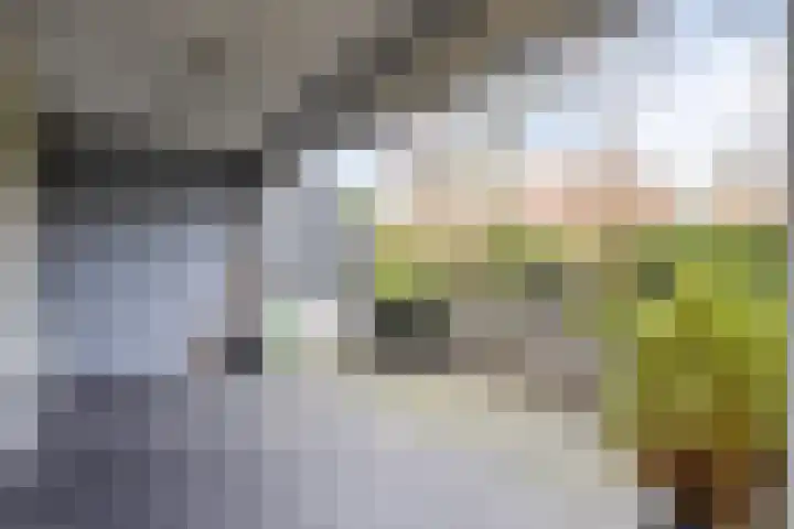 Hofstraat 3 Deurne thumbnail 23