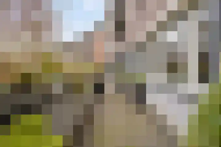 Hofstraat 3 Deurne thumbnail 25