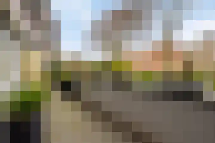 Hofstraat 3 Deurne thumbnail 26