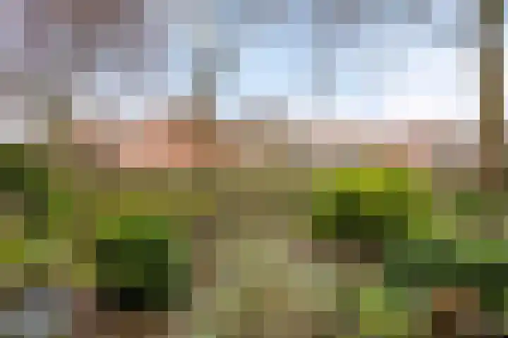 Hofstraat 3 Deurne thumbnail 27