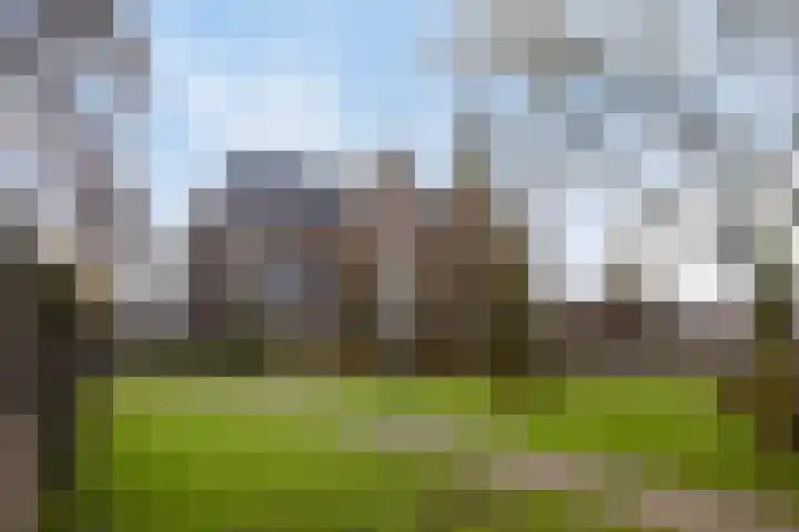 Hofstraat 3 Deurne thumbnail 28