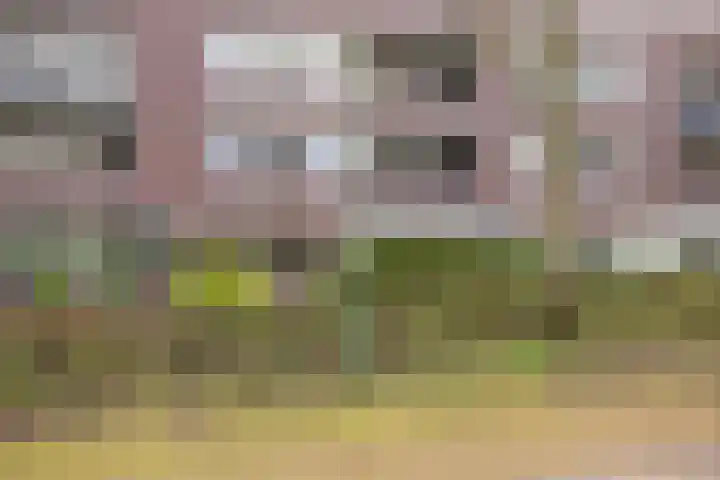 Hofstraat 3 Deurne thumbnail 29