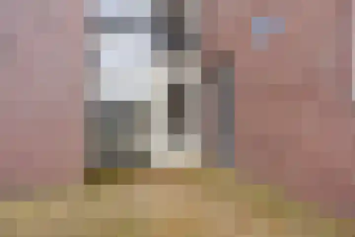 Hofstraat 3 Deurne thumbnail 38
