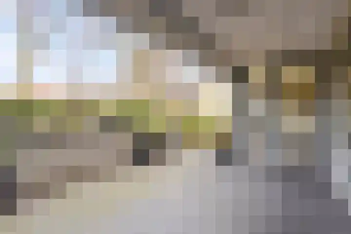 Hofstraat 3 Deurne thumbnail 4