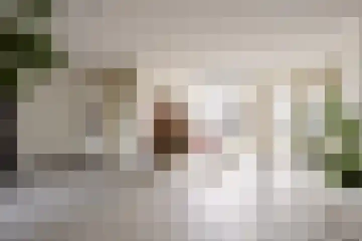 Hofstraat 3 Deurne thumbnail 41