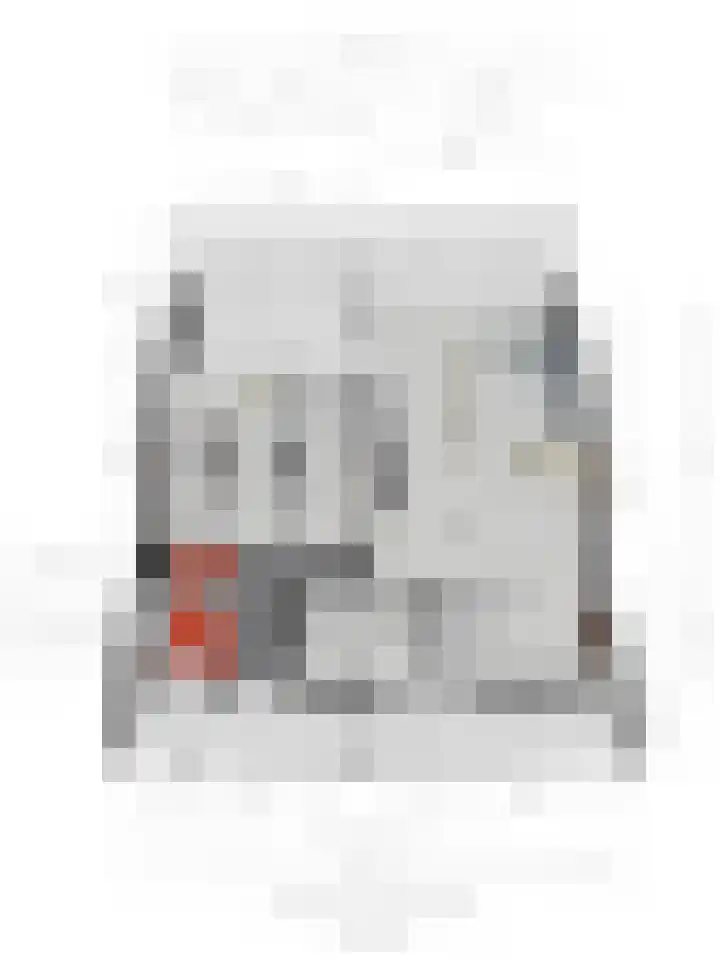 Hofstraat 3 Deurne thumbnail 42