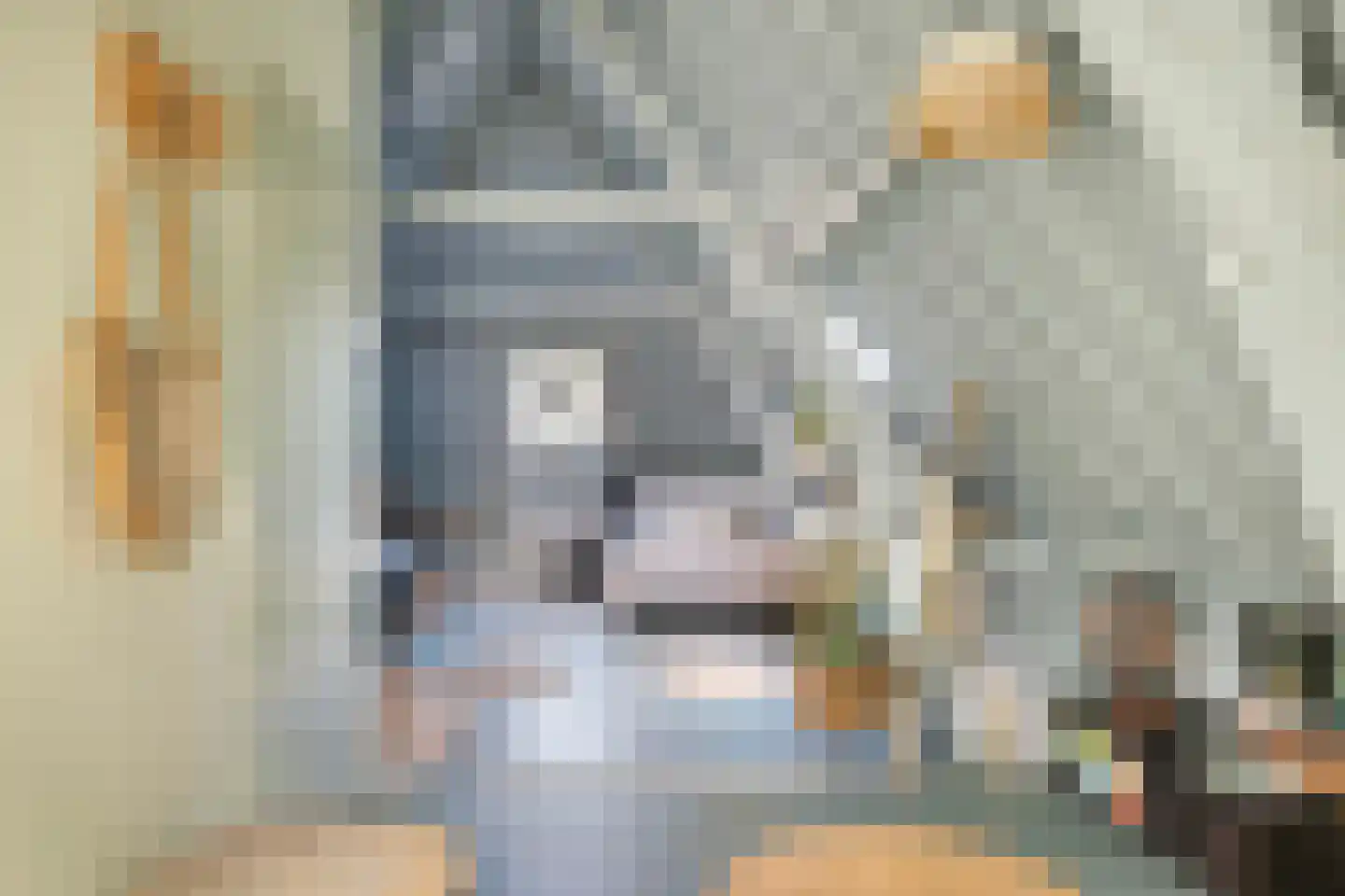 Hofstraat 3 Dordrecht thumbnail 33