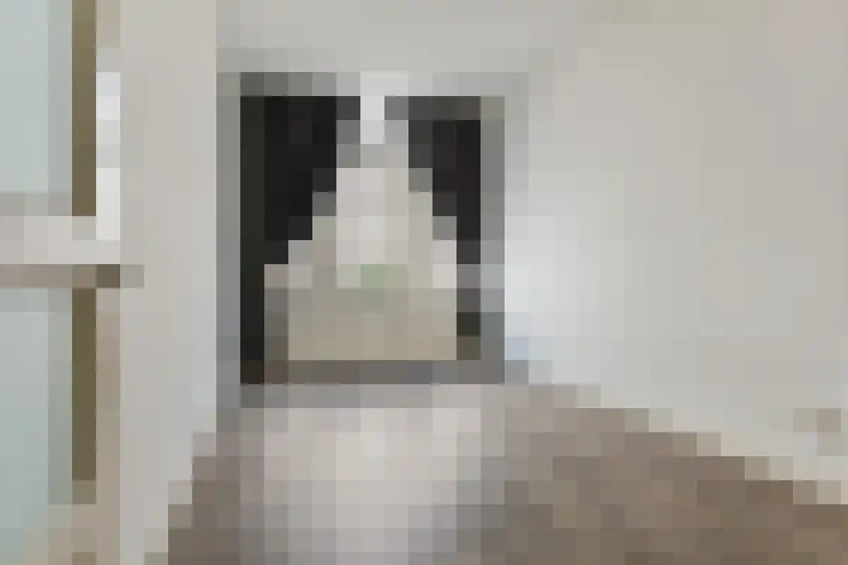 Hofstraat 3 Groningen thumbnail 6