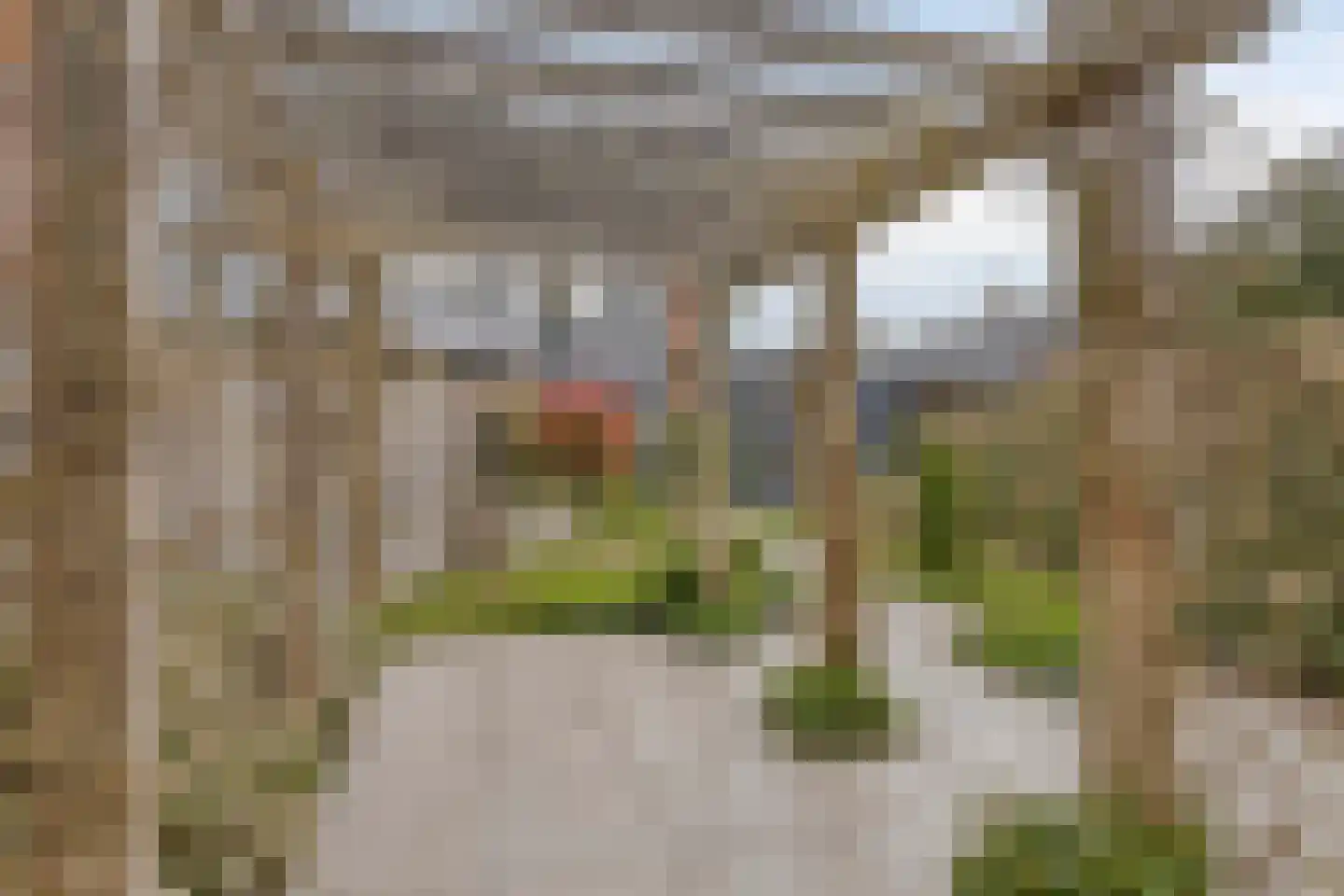 Hofstraat 3 's-Heerenberg thumbnail 33
