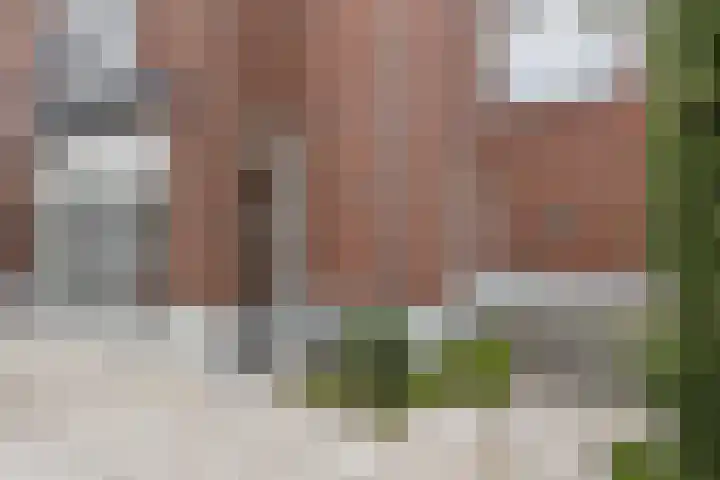 Hofstraat 3 's-Heerenberg thumbnail 34
