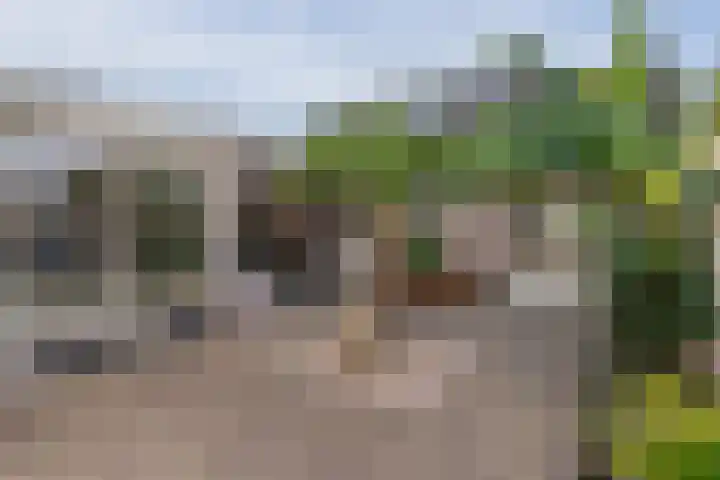 Hofstraat 30 Den Dungen thumbnail 20