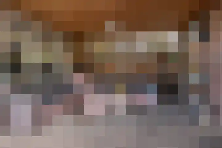 Hofstraat 30 Den Dungen thumbnail 21