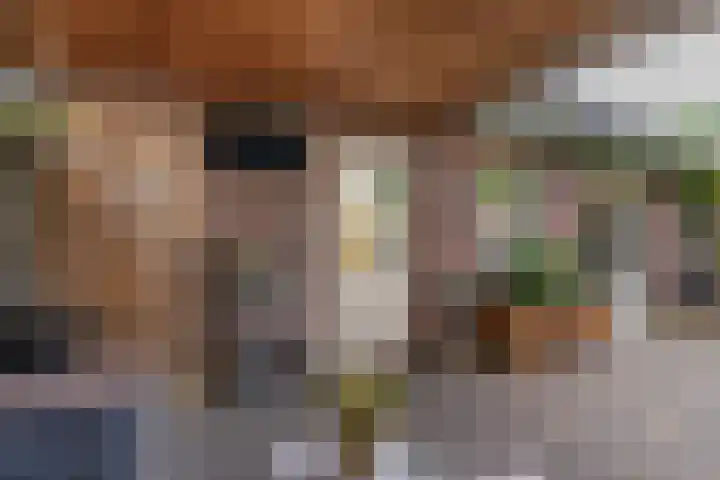 Hofstraat 30 Den Dungen thumbnail 22