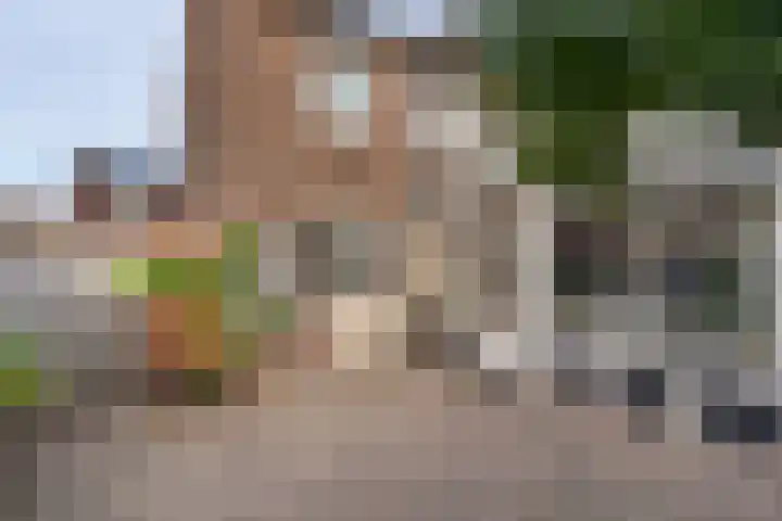 Hofstraat 30 Den Dungen thumbnail 23