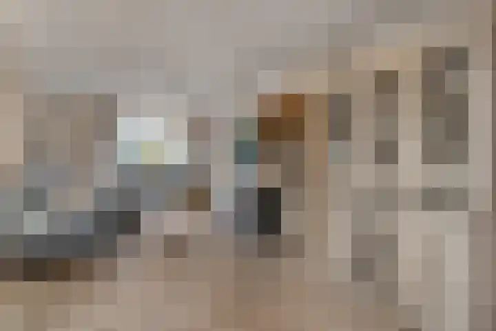 Hofstraat 30 Den Dungen thumbnail 4