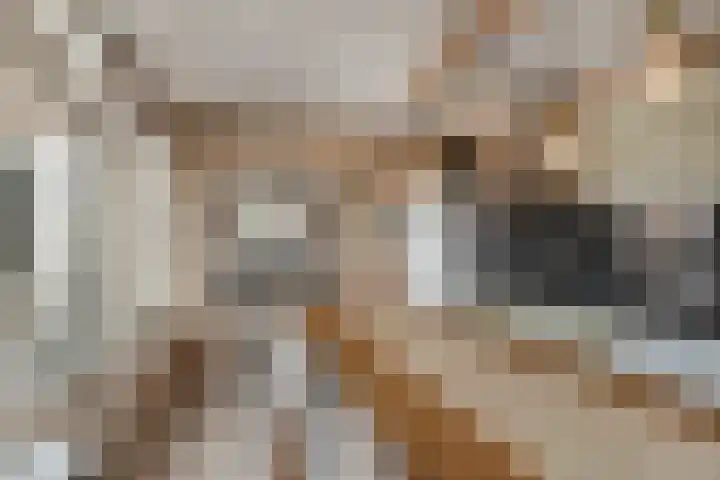 Hofstraat 30 Den Dungen thumbnail 7