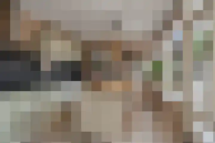 Hofstraat 30 Den Dungen thumbnail 8