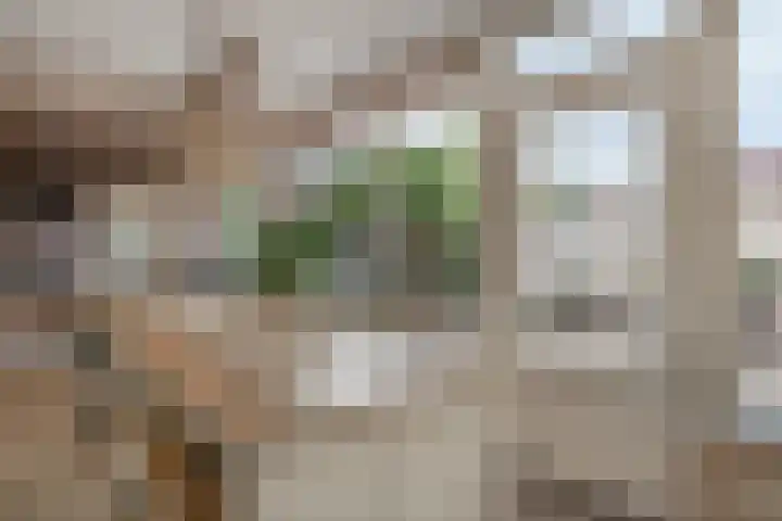 Hofstraat 30 Den Dungen thumbnail 9