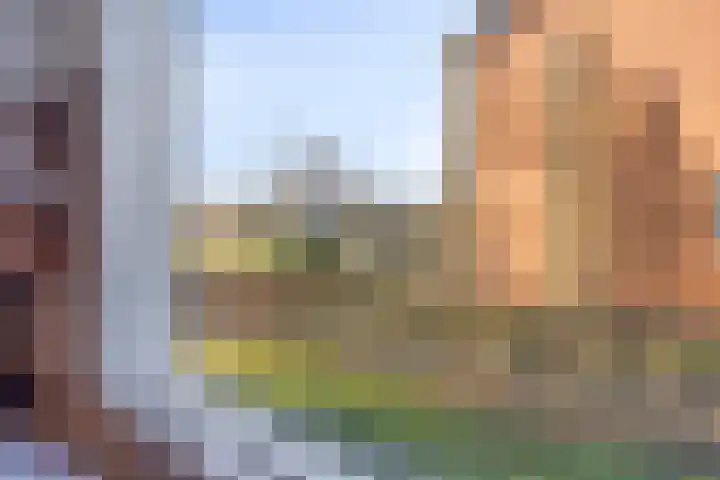 Hofstraat 37 Asten thumbnail 13