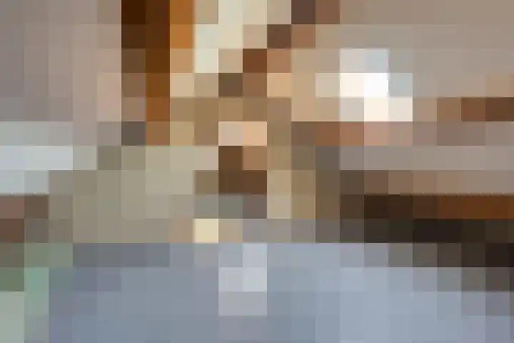 Hofstraat 37 Asten thumbnail 25