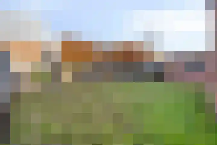 Hofstraat 37 Asten thumbnail 27