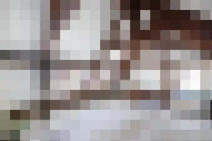 Hofstraat 4 A Alkmaar thumbnail 33