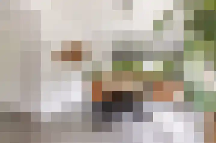 Hofstraat 4 Beltrum thumbnail 13