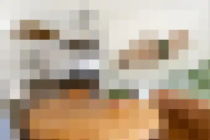 Hofstraat 4 Beltrum thumbnail 15