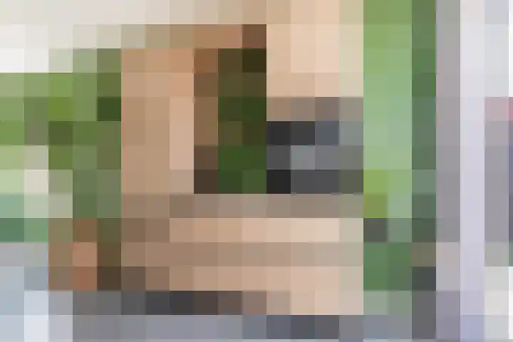 Hofstraat 4 Beltrum thumbnail 19