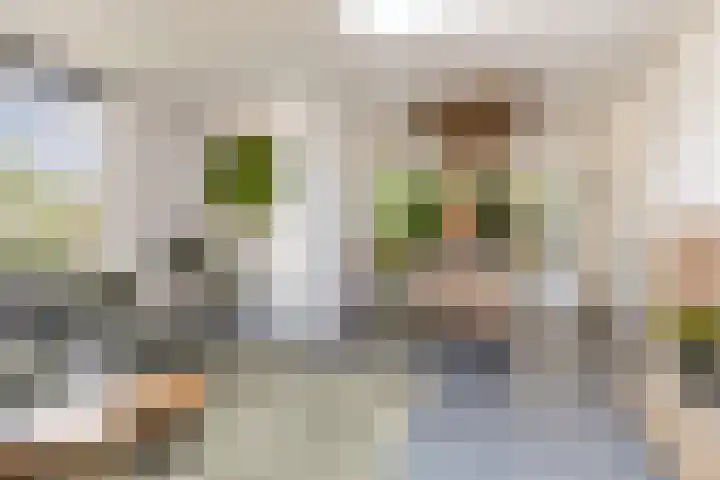 Hofstraat 4 Beltrum thumbnail 21