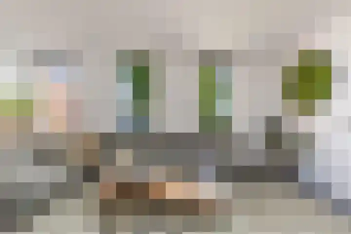 Hofstraat 4 Beltrum thumbnail 22