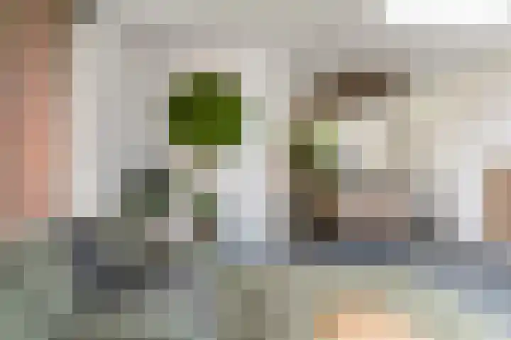 Hofstraat 4 Beltrum thumbnail 26