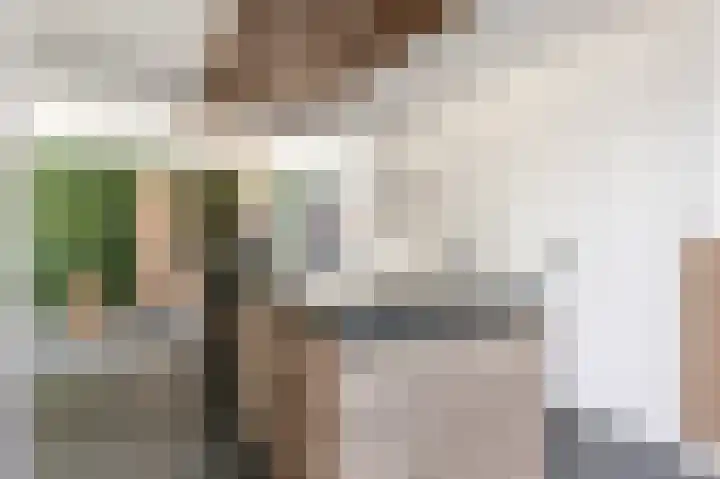 Hofstraat 4 Beltrum thumbnail 29