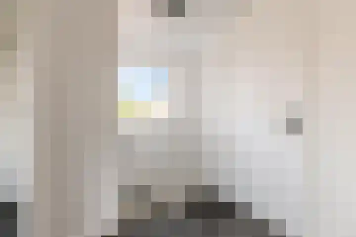Hofstraat 4 Beltrum thumbnail 30