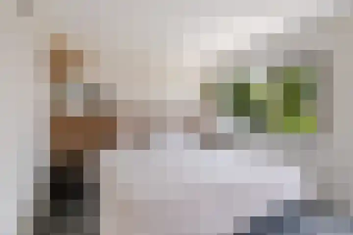 Hofstraat 4 Beltrum thumbnail 36