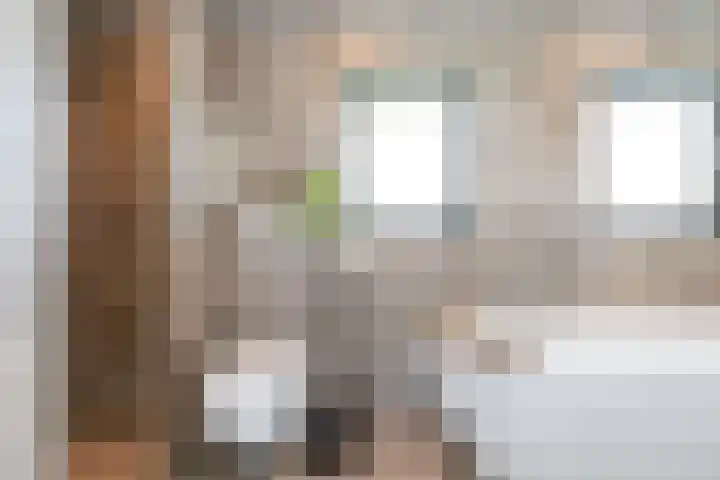Hofstraat 4 Beltrum thumbnail 39