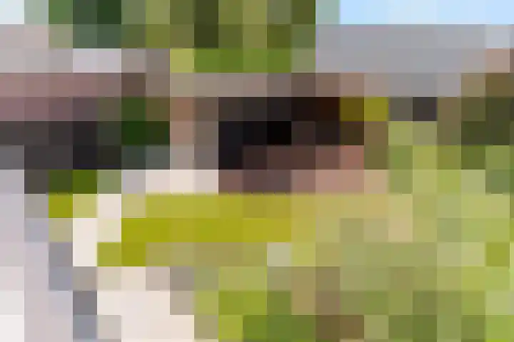 Hofstraat 4 Beltrum thumbnail 42
